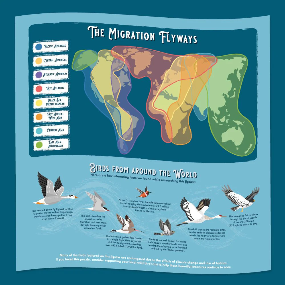 Bird Lover's 1000-Piece Jigsaw Puzzle - Image 3