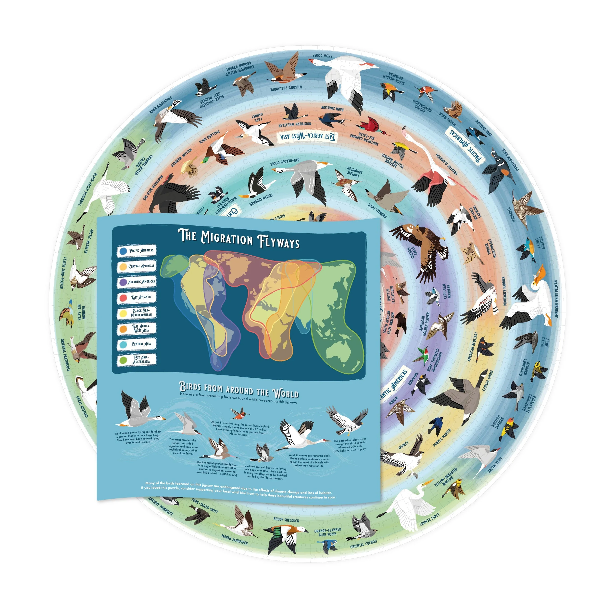 Bird Lover's 1000-Piece Jigsaw Puzzle - Image 5