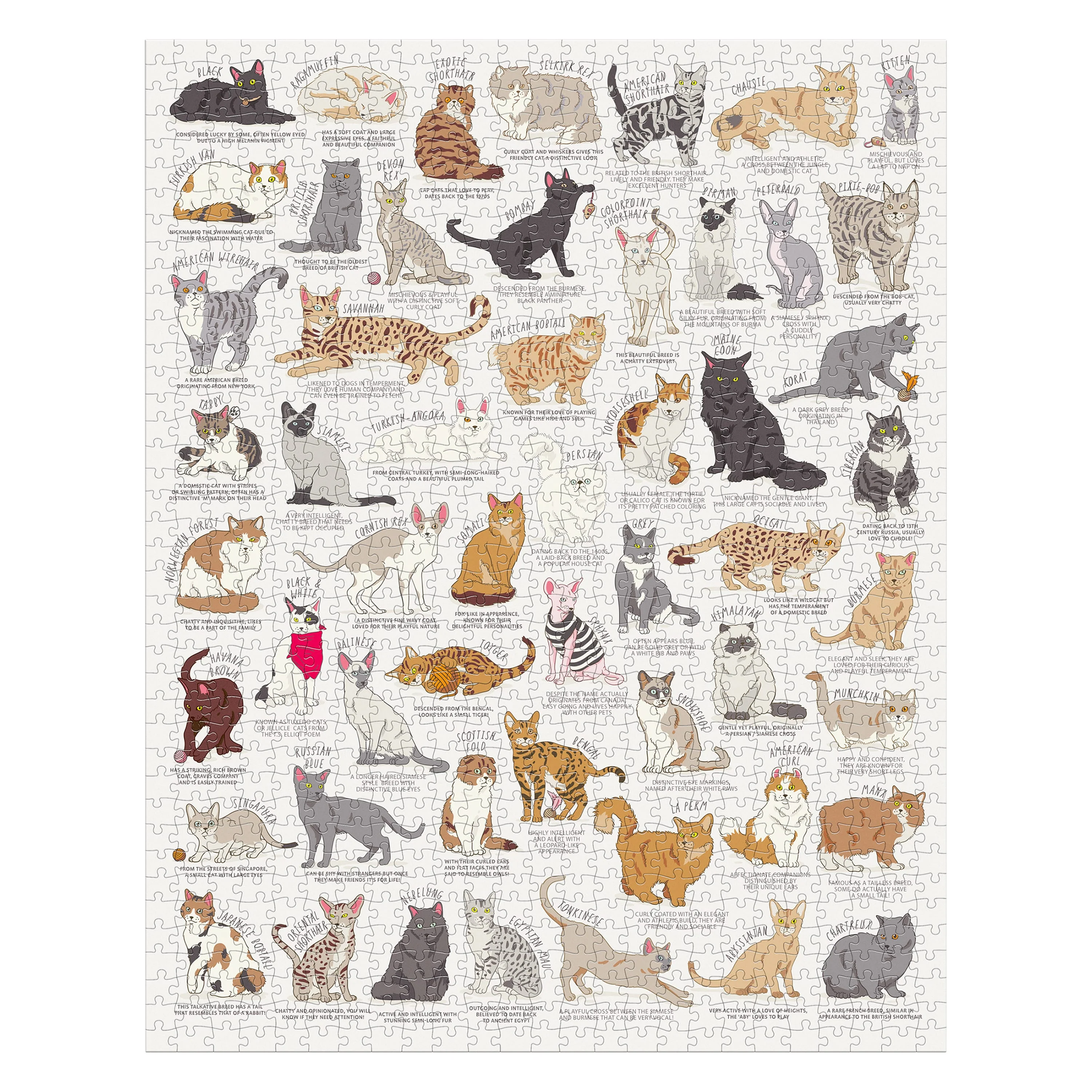 Cat Lover's 1000-Piece Jigsaw Puzzle - Image 3