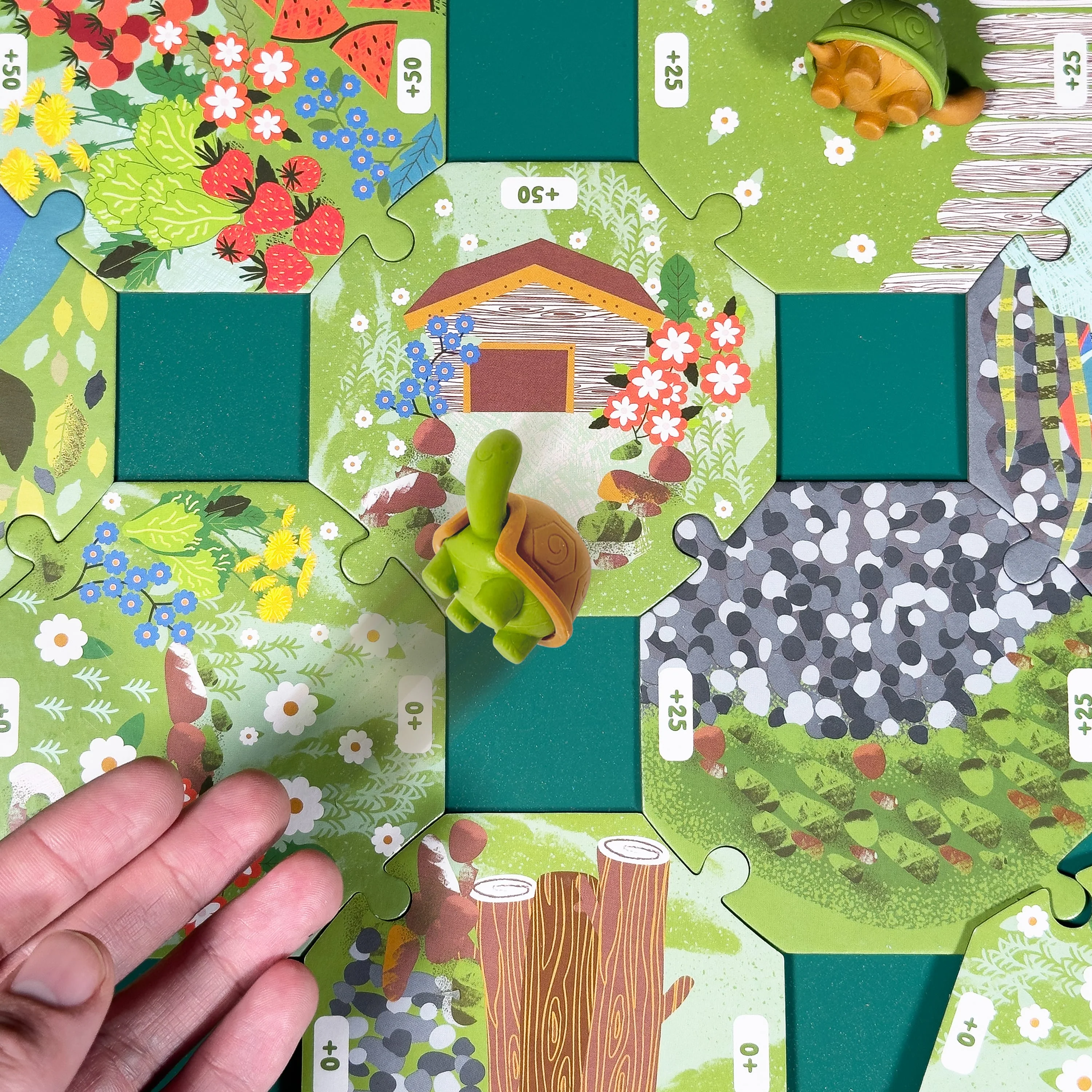 Tortoise Tumble - Image 5