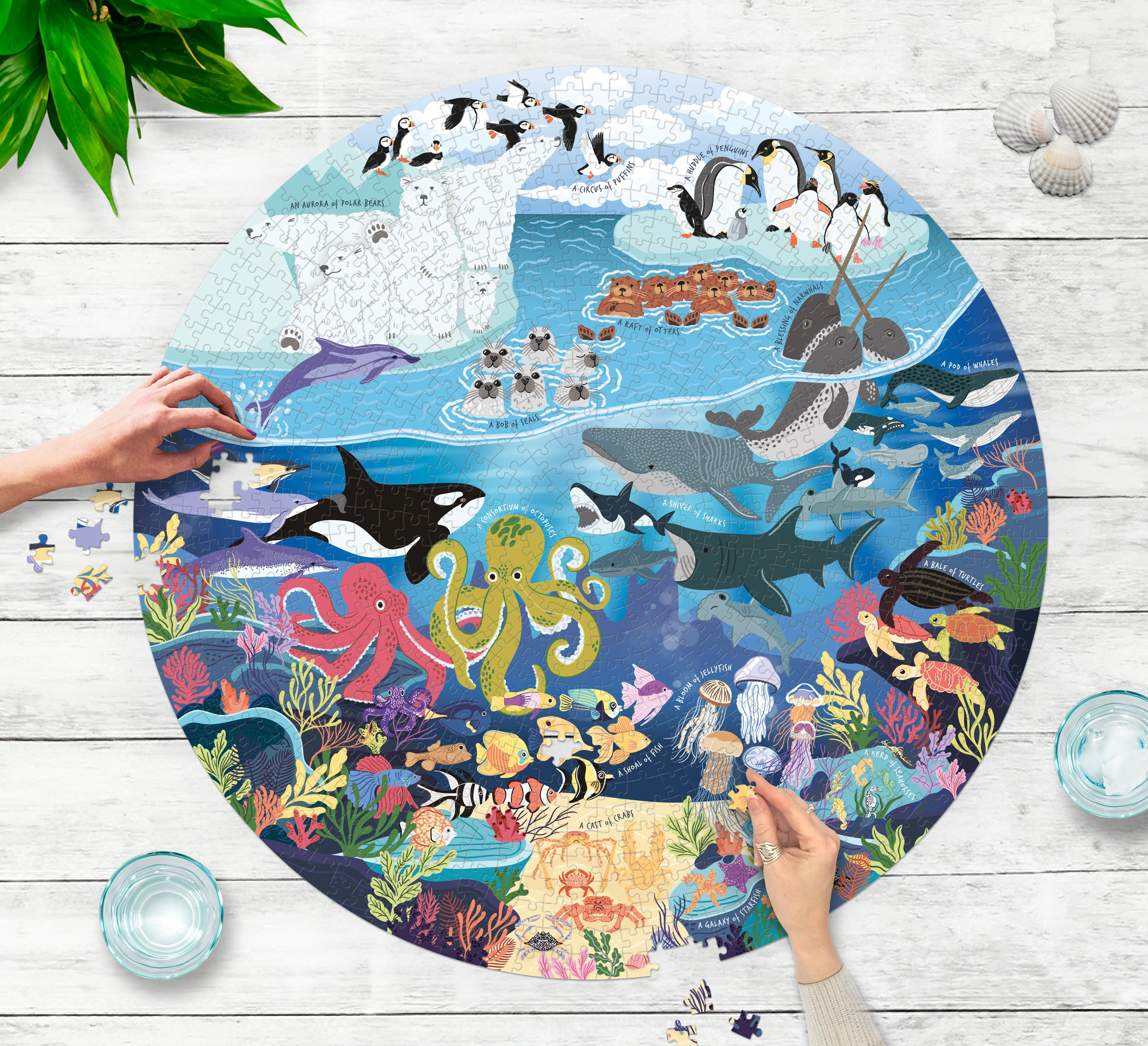 Ocean Lover's 1000-piece Circular Jigsaw Puzzle - Image 4